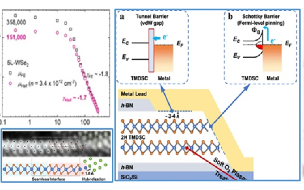 Bridging the gap between TMDCs and metals